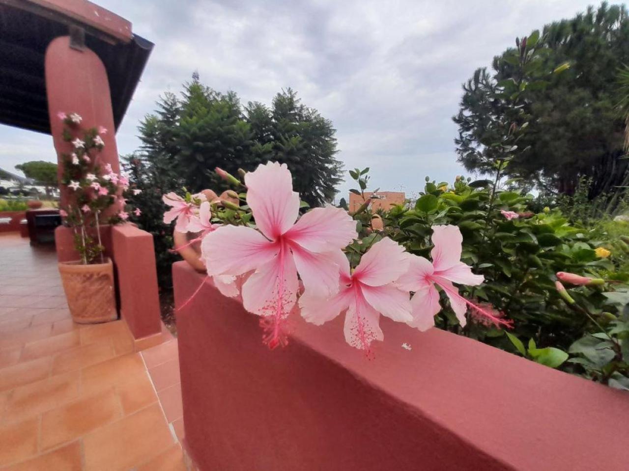 Bed and Breakfast Villino Miraglia à Lingua Extérieur photo